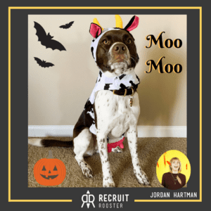 Dog named Moo Moo in cow costume