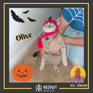 Cat in parrot costume